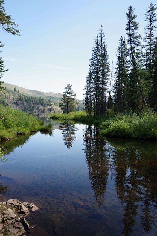 Cataract Lake View